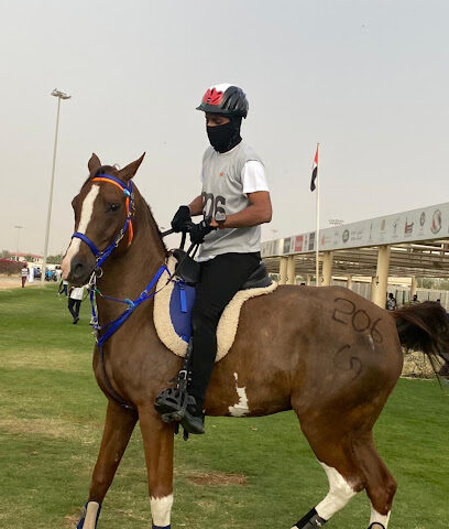 إسطبلات النجم العربي - دبي - +971 56 262 4122