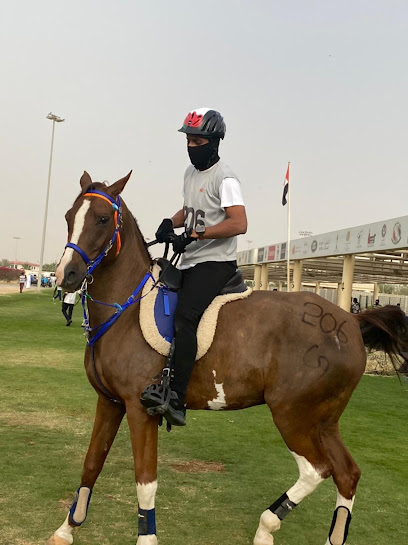 إسطبلات النجم العربي - United Arab Emirates|Dubai|Emirates Rd