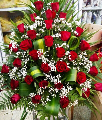 أزهار الغدير DubaiFlora.Com - عجمان - +971 50 586 1001