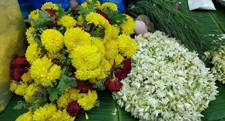 زهرة البرومال الشارقة - عجمان - +971 6 561 2291