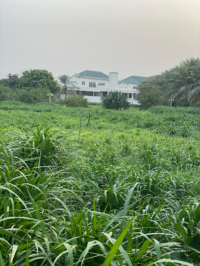 مزرعة الريس - United Arab Emirates|Al Raheeb - Fujairah|G8GR+2RQ