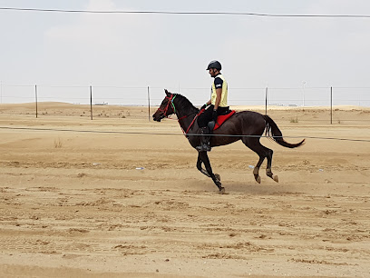 اسطبلات نفار - دبي - +971 55 949 1458