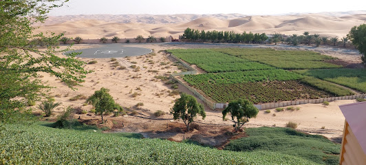 مزرعة الجابر (ليوا) - عجمان -