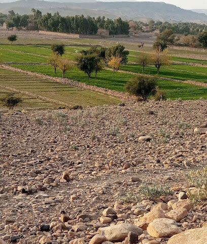 تجارة الأجهزة chellenge - دبي -