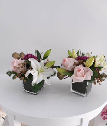 مملكة الزهور مملكة الزهور - عجمان - +971 56 666 6440