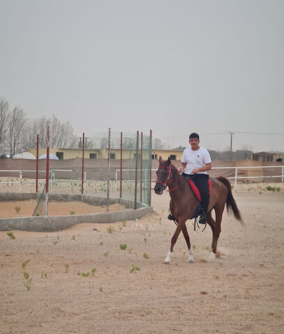 اسطبل الدقداقه - دبي - +971 50 137 4004