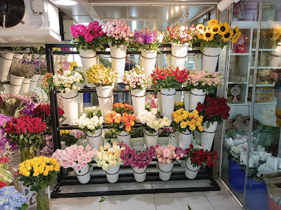 زهرة مايو - عجمان - +971 6 572 6588
