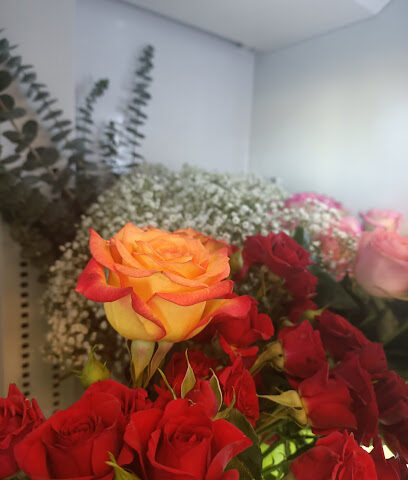 الزهور وأكثر - عجمان - +971 58 613 0836