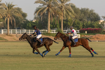 نادي دبي للبولو والفروسية - عجمان - +971 4 361 8111