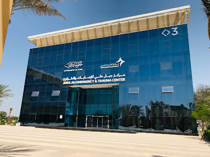 مستشفى DIC DHA - دبي -