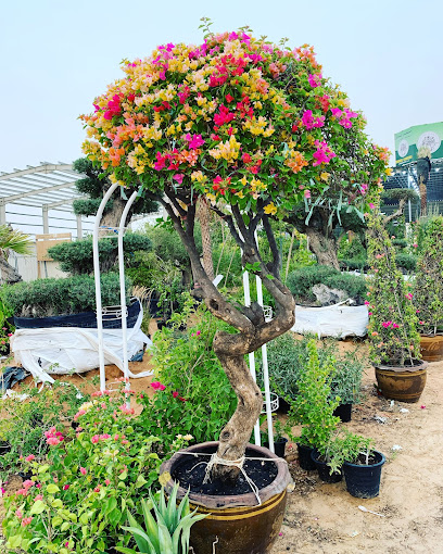 موغل للمناظر الطبيعية - United Arab Emirates|Warsan 3 - Dubai|Mughel Gardens