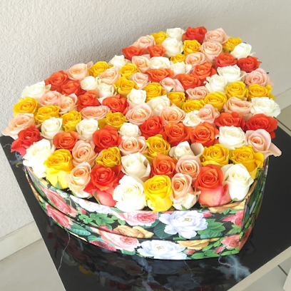 هيفنلي لتجارة الزهور ش.ذ. - عجمان - +971 4 239 1588