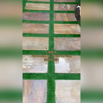 خدمات التنظيف المهنية ليمبيزا - دبي - +971 56 223 2263