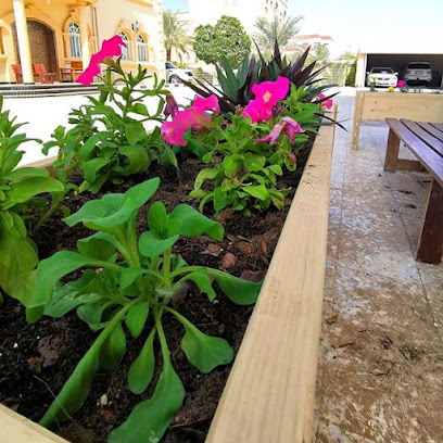 سرير مرتفع في الإمارات العربية المتحدة - دبي - +971 50 279 7131