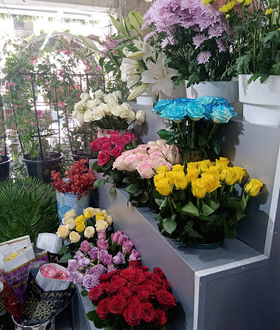 مصنع جرين ارت - عجمان - +971 50 900 1391