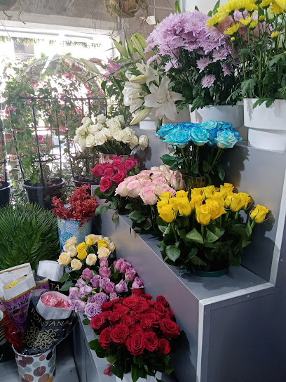 مصنع جرين ارت - United Arab Emirates|Al Karama - Dubai|43A St|Fish Market