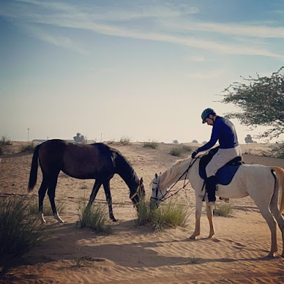 اسطبلات الصحراء - دبي - +971 50 339 6524