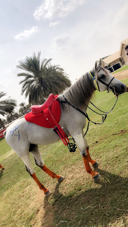 مربط و اسطبلات السعد مربط واسطبلات السعد - United Arab Emirates|Al Wathba - Abu Dhabi|5QGH+3V5
