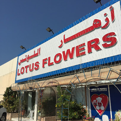 ازهار اللوتس - عجمان - +971 7 235 3673