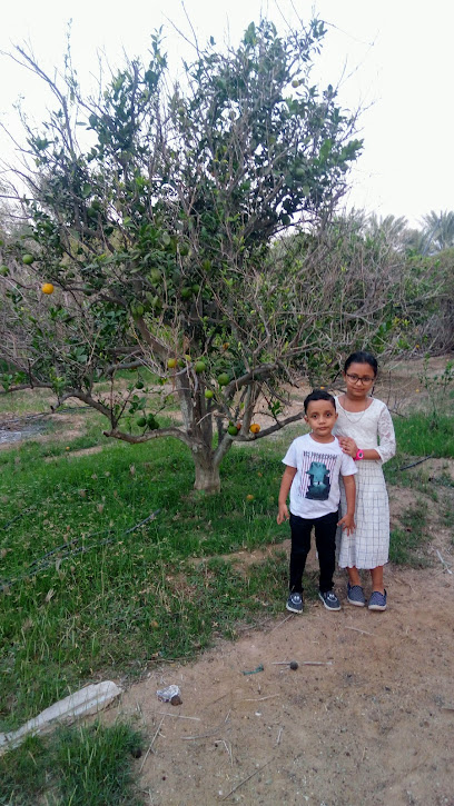 مزرعة السلمي ، صياح دبا - United Arab Emirates|Fujairah|Unnamed Road|H6QX+FXV