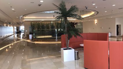 مركز المليحة الطبي - دبي - +971 6 882 3334