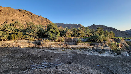 ويب الحنة - دبي -