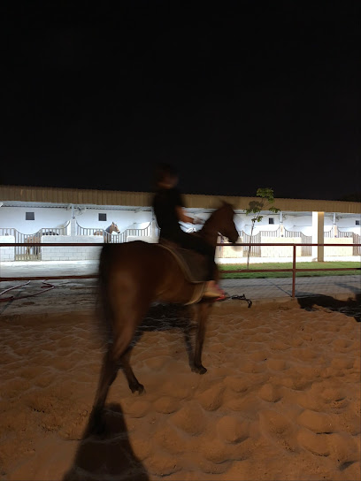 اسطبلات الفيصل - United Arab Emirates|Al Zubair Orchards - Sharjah|Unnamed Road|9JG5+V4M