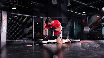 UFC GYM الخليج التجاري - دبي - +971 4 567 1554