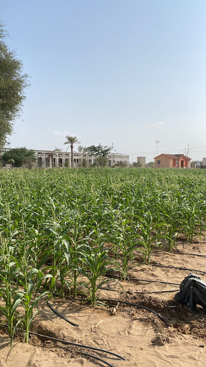 مزارع الفردان - United Arab Emirates|Al Hamraniyah - Ras al Khaimah