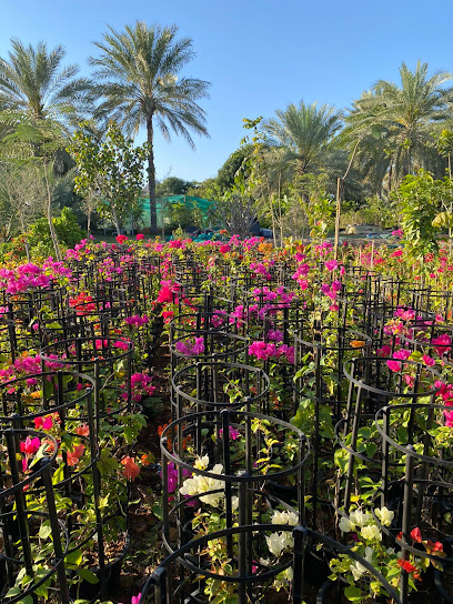 حضانة السند - United Arab Emirates|Al Digdaga - Ras Al-Khaimah|E18