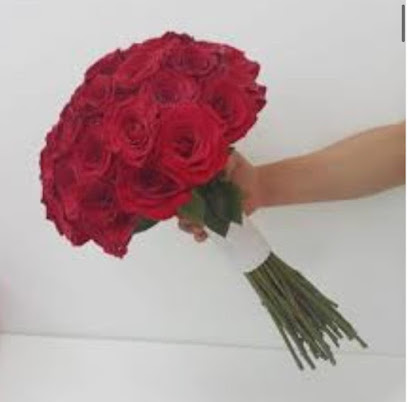 حدائق الورود - عجمان - +971 52 684 0422