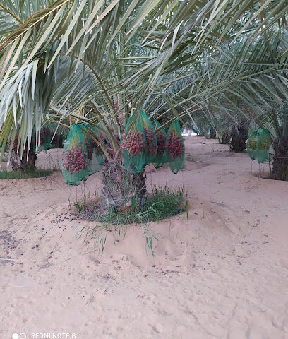 مزرعة القريدي - عجمان -