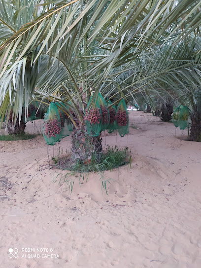 مزرعة القريدي - United Arab Emirates|Sharjah|Unnamed Road|9JVG+HC2