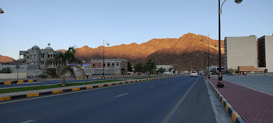 مستشفى دبا - مستشفى دبا - دبي - +971 9 206 1500