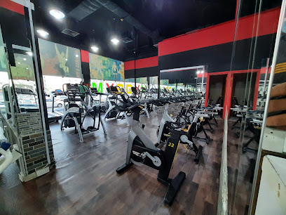 الماس جيم - عجمان - +971 52 868 5865