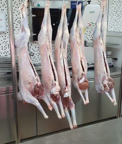 شويبوز للتجارة العامة ذ - عجمان - +971 6 525 9619