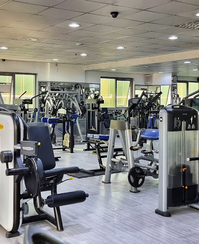 لياقة الجسم I-GYM - United Arab Emirates|Ajman|30432 Sheikh Zayed Road