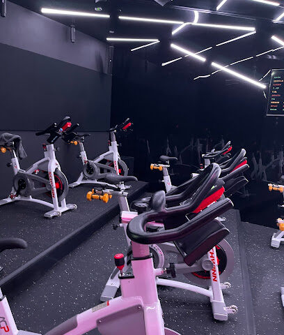 استديو كرنك أبوظبي للياقة البدنية - عجمان - +971 2 878 4331