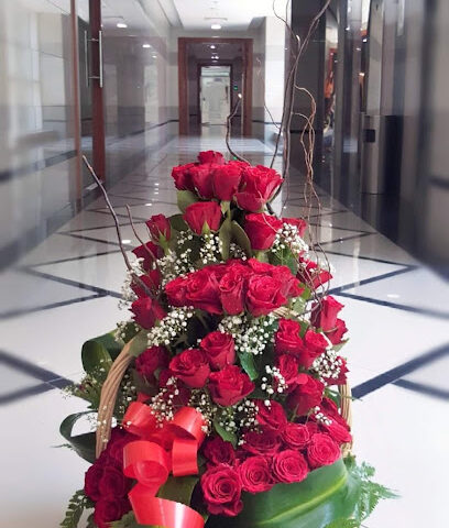 زهرة النجم الازرق ذ - عجمان - +971 55 549 4562