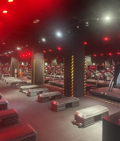 باري دبي مركز دبي المالي العالمي - دبي - +971 4 254 4775