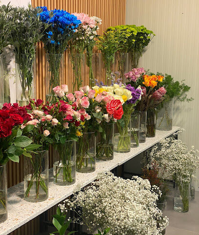 ديلايت فلاورز - عجمان - +971 50 157 4477