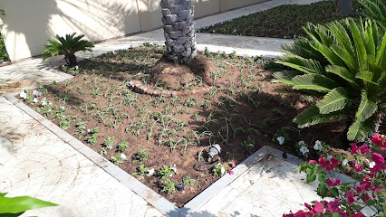 أبو ظبي لخدمات الحدائق والزراعة ذ - دبي - +971 50 752 1368