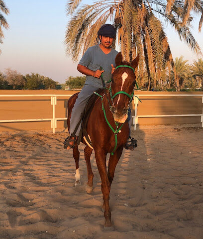 إسطبل الحصان الذيب - دبي - +971 50 250 1566