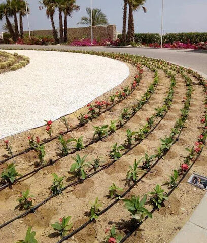 أعمال البستنة والمناظر الطبيعية ذ - دبي - +971 56 609 2693