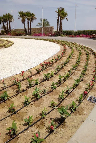 أعمال البستنة والمناظر الطبيعية ذ - United Arab Emirates|Warsan 2 - Dubai