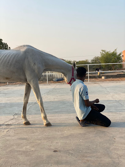 هار مستقرة - United Arab Emirates|Ras al Khaimah|Airport Street|شارع المطار |