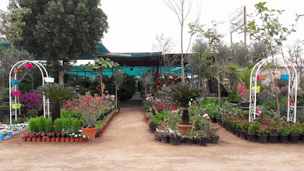 حضانة الرفاع ذ - دبي - +971 50 141 6940