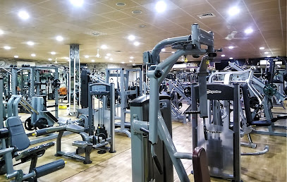 قاعة بلاتينيوم لكمال الأجسام - دبي - +971 56 152 8326