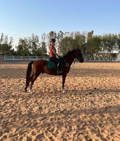 نادي باراجون إكيستري - دبي - +971 58 593 3400