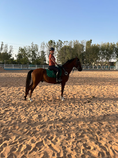نادي باراجون إكيستري - United Arab Emirates|Dubai|Al Ruwayyah District